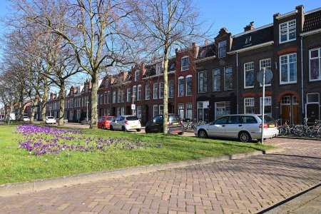 appartementen te huur op Bankastraat